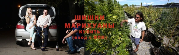 эйфоретик Краснослободск