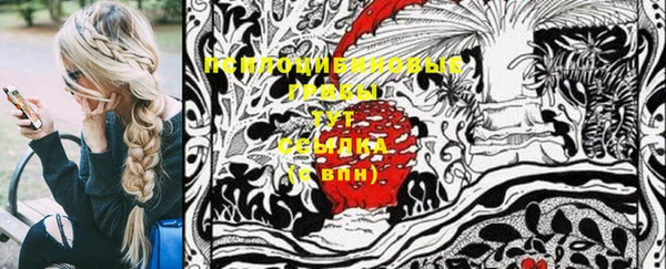 эйфоретик Краснослободск