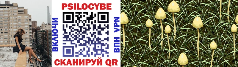 Галлюциногенные грибы MAGIC MUSHROOMS  Луга 