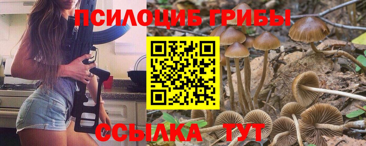 Луга  Псилоцибиновые грибы Psilocybine cubensis  Галлюциногенные грибы GOLDEN TEACHER  Вход с VPN 