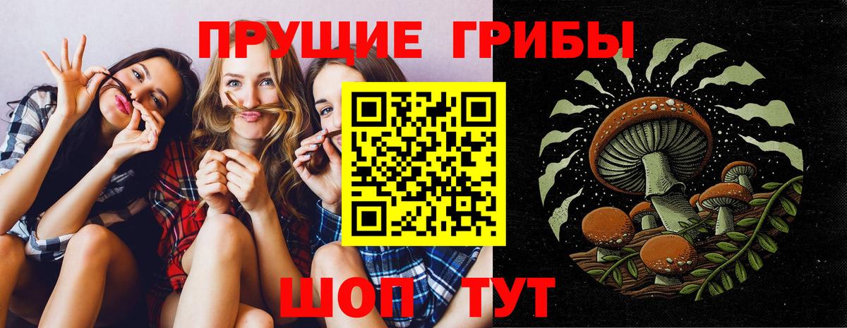 Псилоцибиновые грибы MAGIC MUSHROOMS Луга
